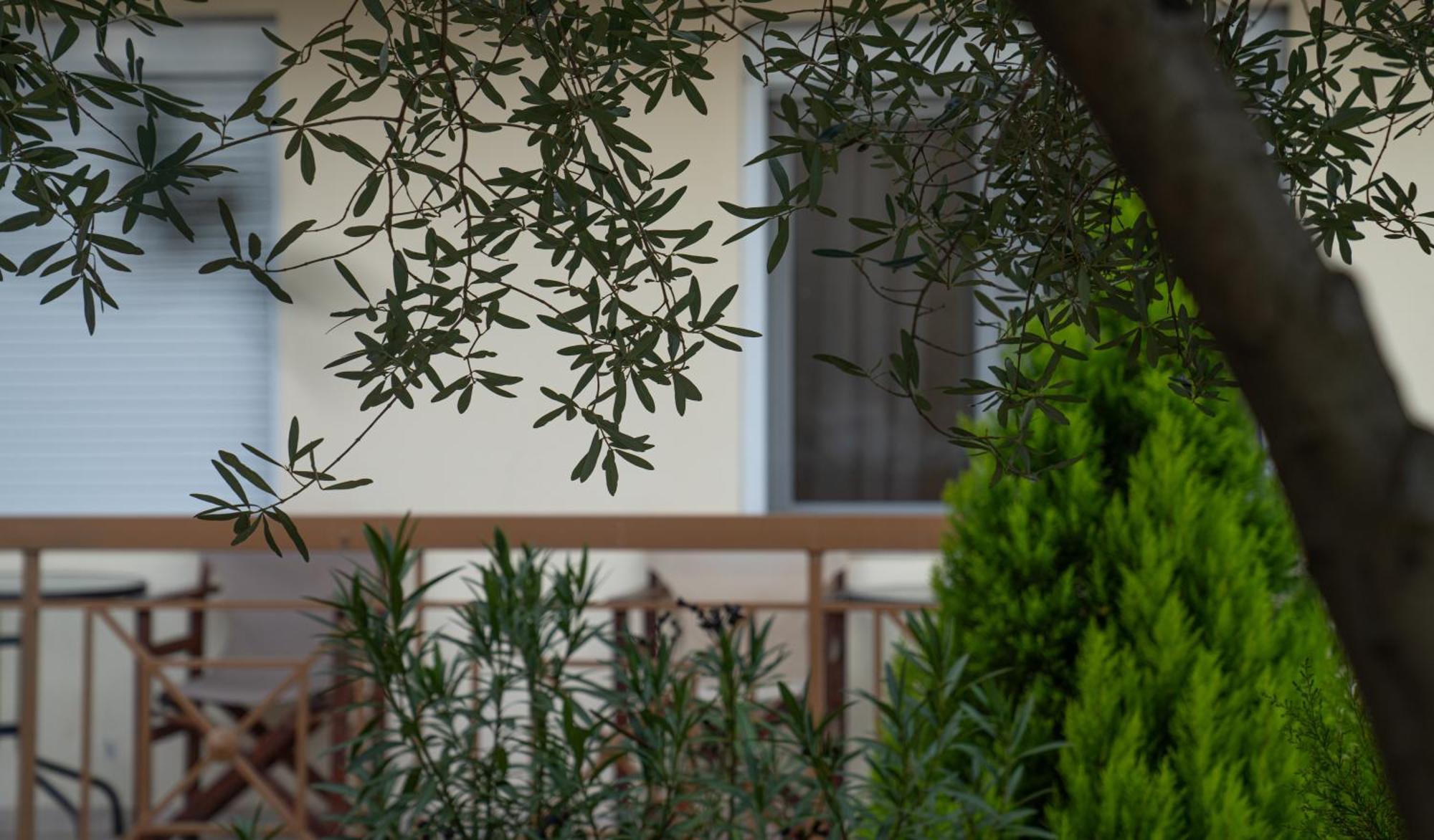 Guesthouse Adonis Káto Loutrákion 외부 사진