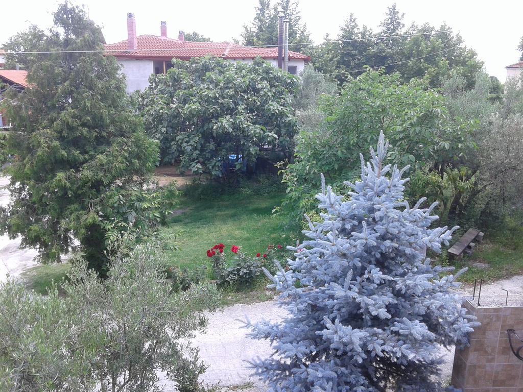 Guesthouse Adonis Káto Loutrákion 외부 사진